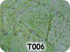 Textura Verde Kiwi Gel Envelhecedor